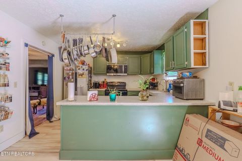 Tiny photo for 442 Highway 370, Luttrell, TN 37779 (MLS # 1317150)