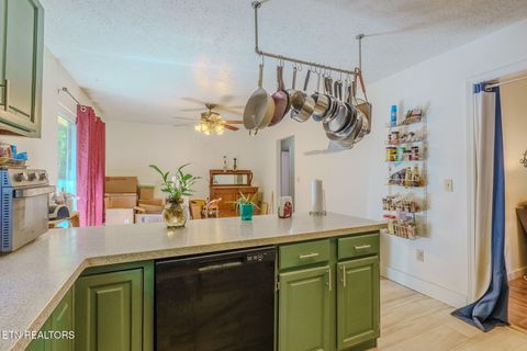 Tiny photo for 442 Highway 370, Luttrell, TN 37779 (MLS # 1317150)