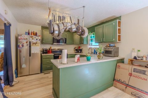 Tiny photo for 442 Highway 370, Luttrell, TN 37779 (MLS # 1317150)