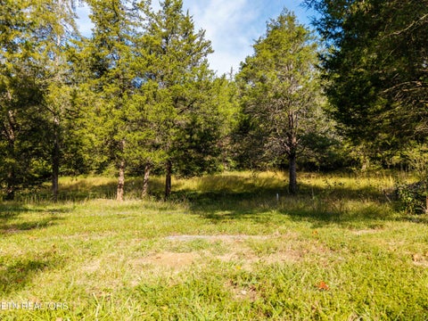 Tiny photo for 1735 Mccarty Rd, Knoxville, TN 37914 (MLS # 1357733)
