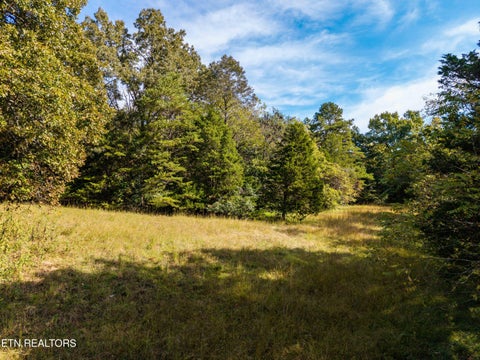 Tiny photo for 1735 Mccarty Rd, Knoxville, TN 37914 (MLS # 1357733)