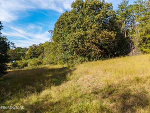 Tiny photo for 1735 Mccarty Rd, Knoxville, TN 37914 (MLS # 1357733)
