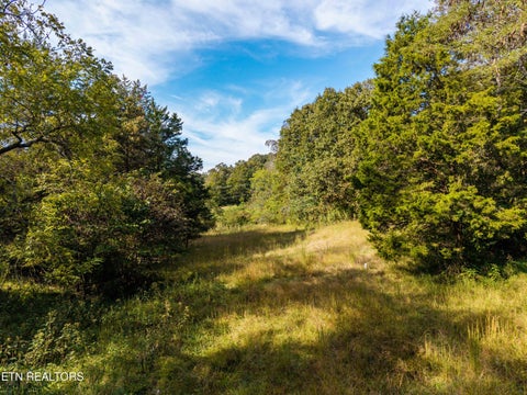 Tiny photo for 1735 Mccarty Rd, Knoxville, TN 37914 (MLS # 1357733)