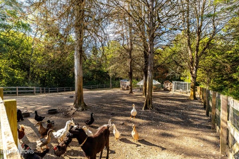 Tiny photo for 1735 Mccarty Rd, Knoxville, TN 37914 (MLS # 1357733)
