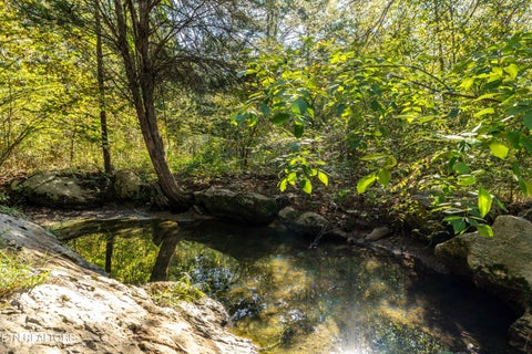Tiny photo for 1735 Mccarty Rd, Knoxville, TN 37914 (MLS # 1357733)