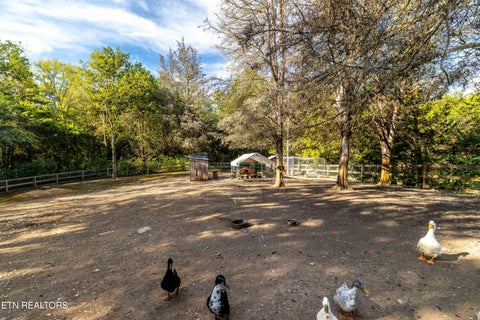 Tiny photo for 1735 Mccarty Rd, Knoxville, TN 37914 (MLS # 1357733)