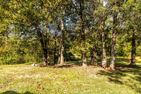 Tiny photo for 1735 Mccarty Rd, Knoxville, TN 37914 (MLS # 1357733)