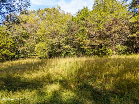 Tiny photo for 1735 Mccarty Rd, Knoxville, TN 37914 (MLS # 1357733)