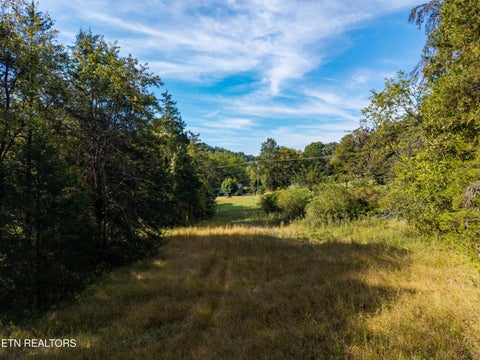 Tiny photo for 1735 Mccarty Rd, Knoxville, TN 37914 (MLS # 1357733)