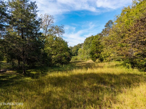 Tiny photo for 1735 Mccarty Rd, Knoxville, TN 37914 (MLS # 1357733)