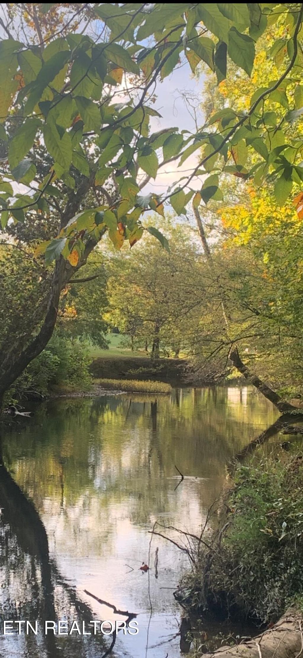 Photo of 2168 Fairview Rd, Tellico Plains, TN 37385 (MLS # 1321337)