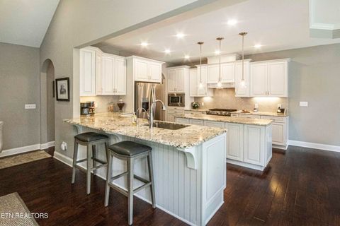 Tiny photo for 109 Niwodihi Tr, Vonore, TN 37885 (MLS # 1337772)