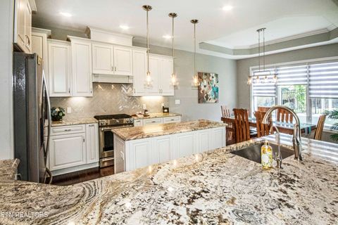 Tiny photo for 109 Niwodihi Tr, Vonore, TN 37885 (MLS # 1337772)
