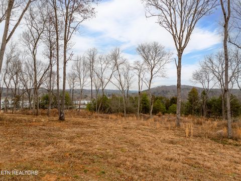 Tiny photo for 5720 Old Dogwood Tr, Loudon, TN 37774 (MLS # 1326144)