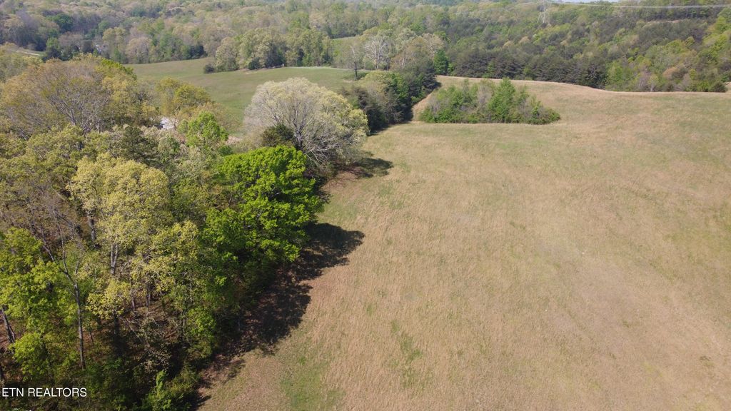 Photo of Mans Hollow Rd, Kingston, TN 37763 (MLS # 1301801)
