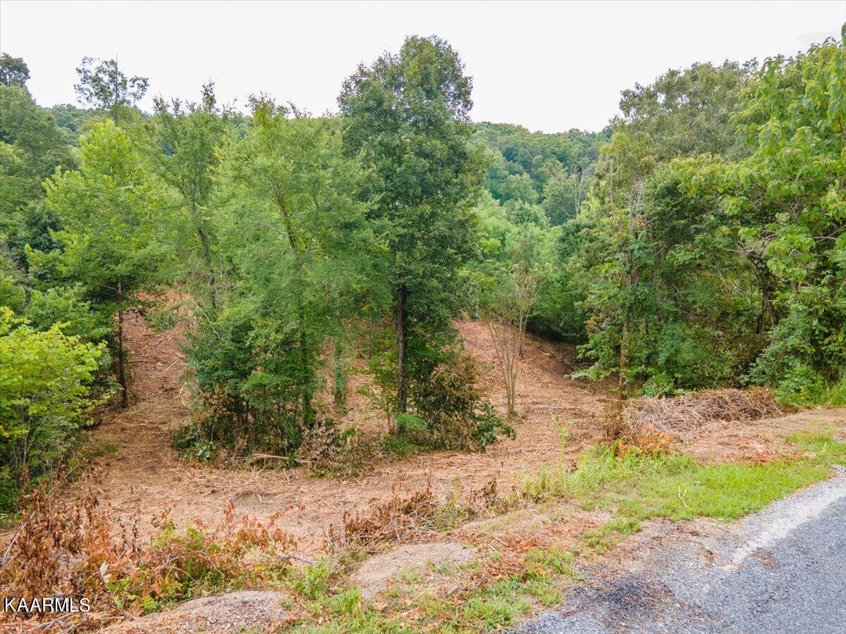 View Dandridge, TN 37725 land