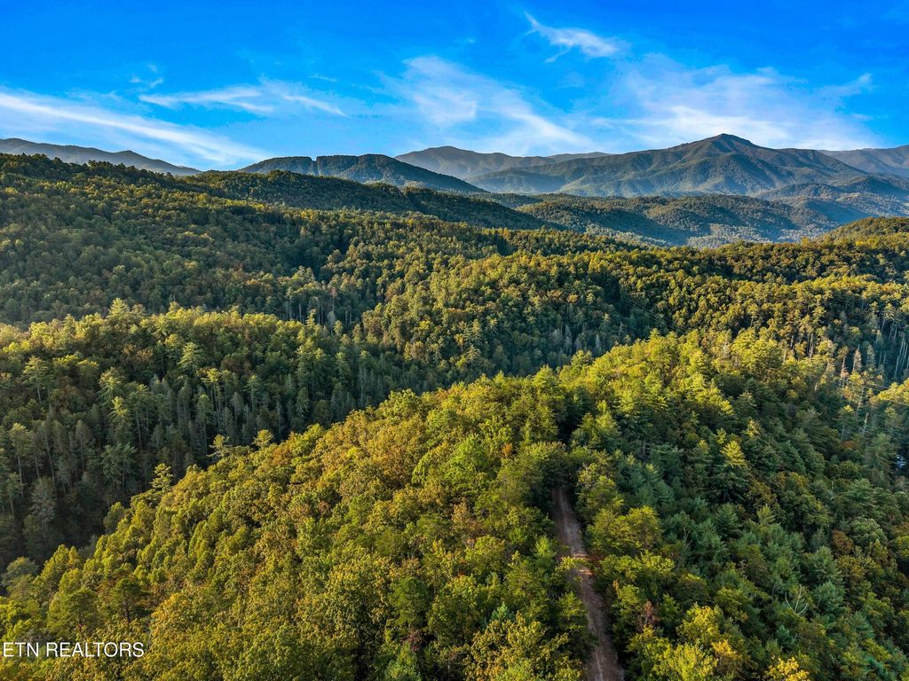 Photo of 3229 Beth Way, Hartford, TN 37753 (MLS # 1315677)