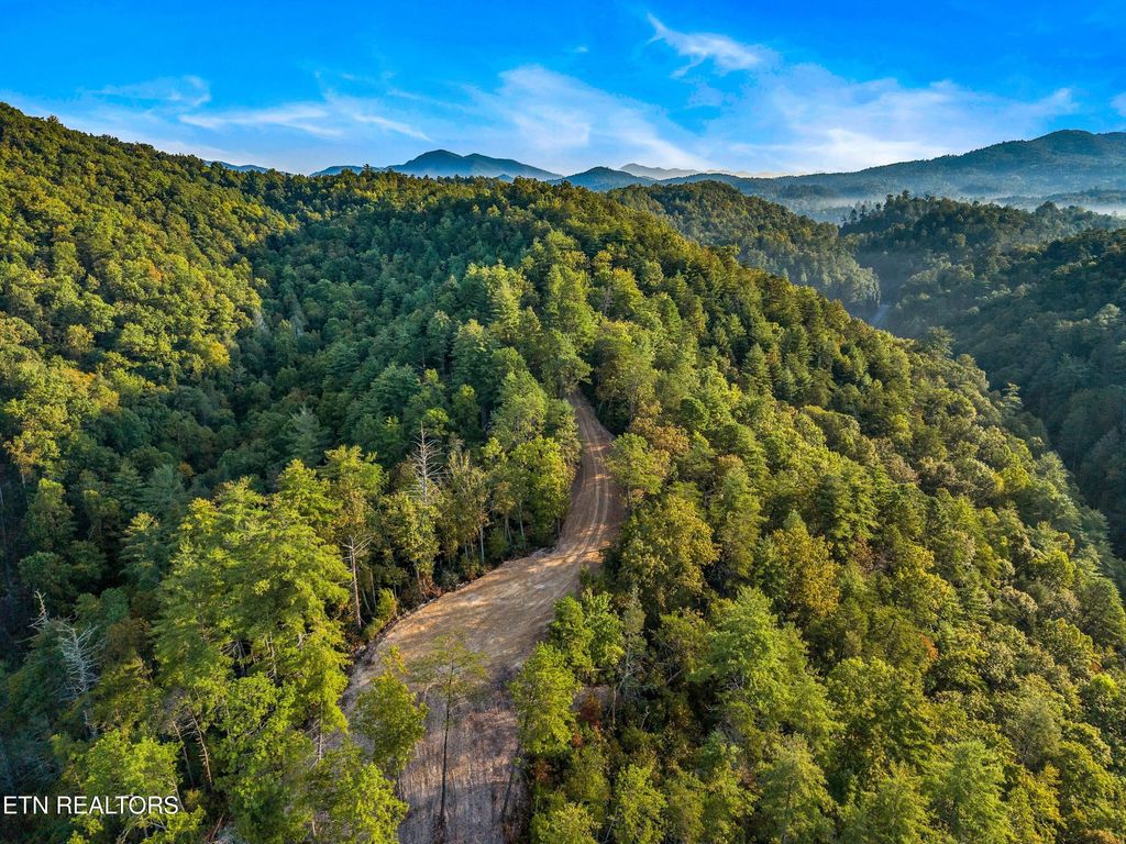 Photo of 3229 Beth Way, Hartford, TN 37753 (MLS # 1315677)