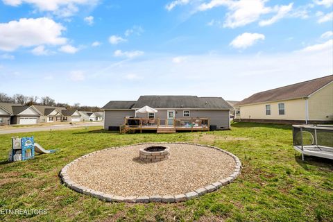 Tiny photo for 1921 River Poppy Rd, Mascot, TN 37806 (MLS # 1330619)