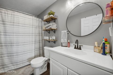 Tiny photo for 1921 River Poppy Rd, Mascot, TN 37806 (MLS # 1330619)