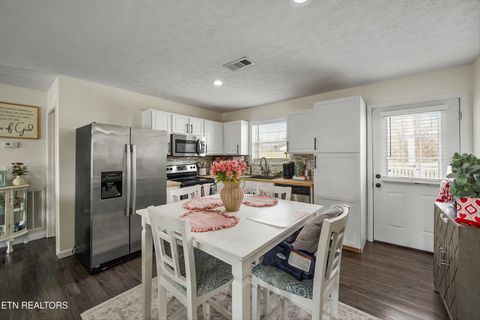 Tiny photo for 1921 River Poppy Rd, Mascot, TN 37806 (MLS # 1330619)