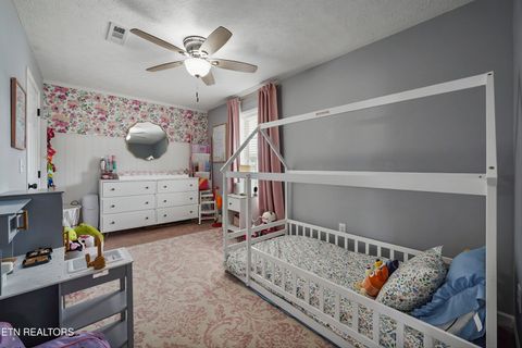 Tiny photo for 1921 River Poppy Rd, Mascot, TN 37806 (MLS # 1330619)