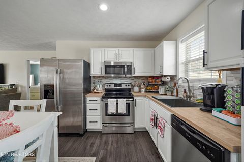 Tiny photo for 1921 River Poppy Rd, Mascot, TN 37806 (MLS # 1330619)