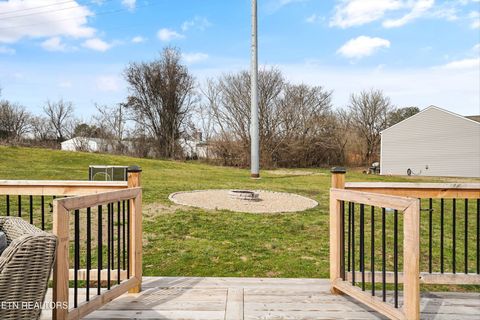 Tiny photo for 1921 River Poppy Rd, Mascot, TN 37806 (MLS # 1330619)