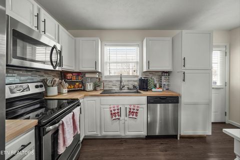 Tiny photo for 1921 River Poppy Rd, Mascot, TN 37806 (MLS # 1330619)