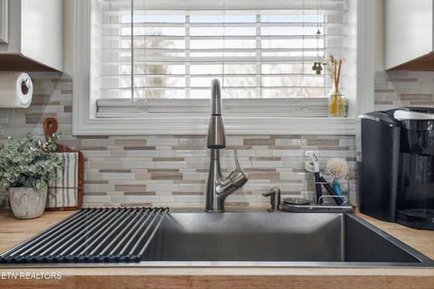 Tiny photo for 1921 River Poppy Rd, Mascot, TN 37806 (MLS # 1330619)