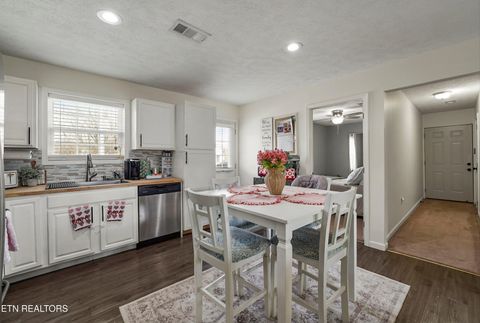 Tiny photo for 1921 River Poppy Rd, Mascot, TN 37806 (MLS # 1330619)