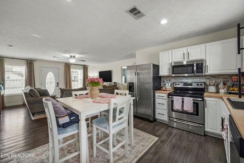 Tiny photo for 1921 River Poppy Rd, Mascot, TN 37806 (MLS # 1330619)