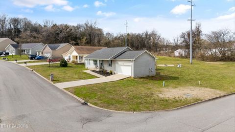Tiny photo for 1921 River Poppy Rd, Mascot, TN 37806 (MLS # 1330619)