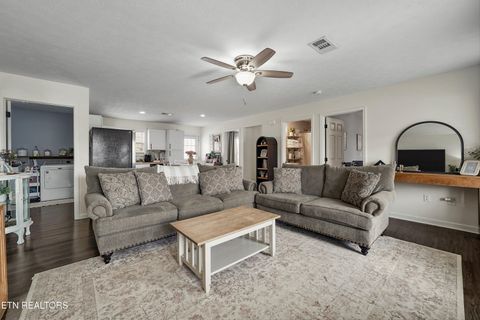 Tiny photo for 1921 River Poppy Rd, Mascot, TN 37806 (MLS # 1330619)