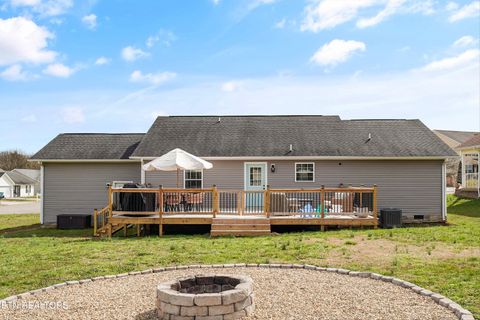 Tiny photo for 1921 River Poppy Rd, Mascot, TN 37806 (MLS # 1330619)