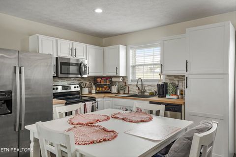 Tiny photo for 1921 River Poppy Rd, Mascot, TN 37806 (MLS # 1330619)