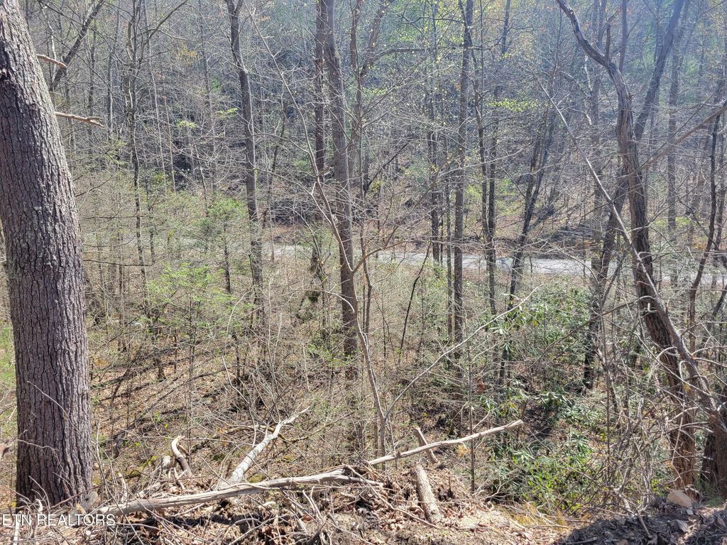 Photo of 25 Alpine Drive, Sevierville, TN 37876 (MLS # 1296851)