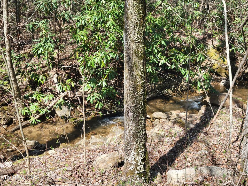 Photo of 25 Alpine Drive, Sevierville, TN 37876 (MLS # 1296851)