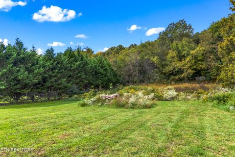 Tiny photo for 465 Livingston Rd, Bean Station, TN 37708 (MLS # 1334217)