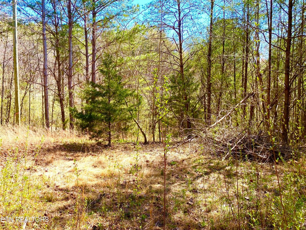 Photo of 396 Beulah Rd, Tellico Plains, TN 37385 (MLS # 1294310)