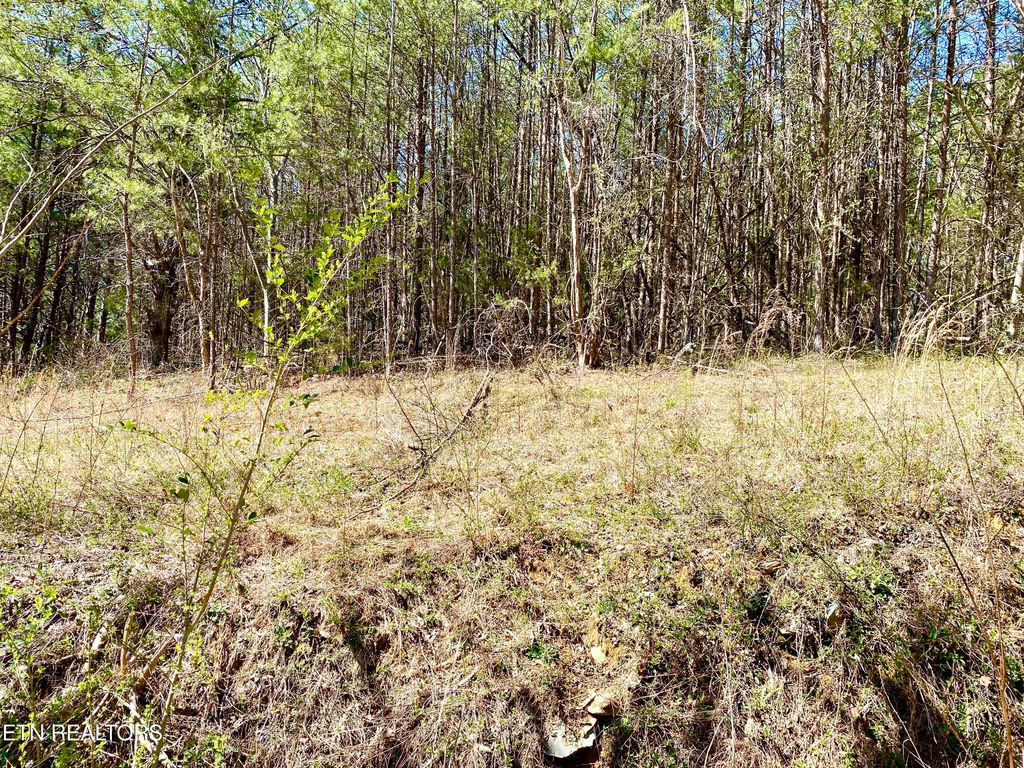 Photo of 396 Beulah Rd, Tellico Plains, TN 37385 (MLS # 1294310)