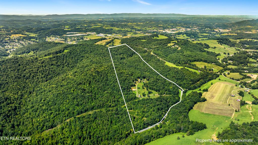 Photo of 2342 Straight Creek Rd, New Tazewell, TN 37825 (MLS # 1272913)