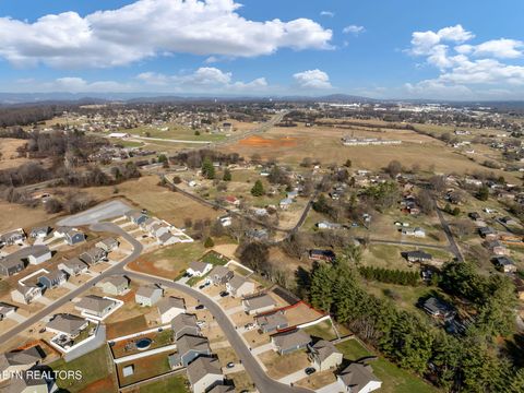 Tiny photo for 921 Erica Drive, Talbott, TN 37877 (MLS # 1326081)