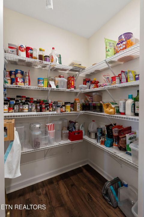 Tiny photo for 921 Erica Drive, Talbott, TN 37877 (MLS # 1326081)