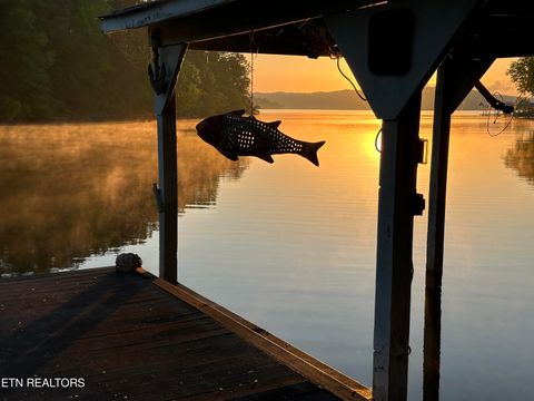 Tiny photo for 137 Lake Forest Lane, Spring City, TN 37381 (MLS # 1327787)