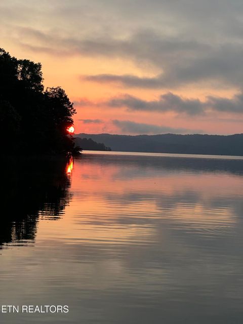 Tiny photo for 137 Lake Forest Lane, Spring City, TN 37381 (MLS # 1327787)