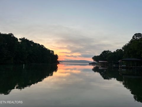 Tiny photo for 137 Lake Forest Lane, Spring City, TN 37381 (MLS # 1327787)