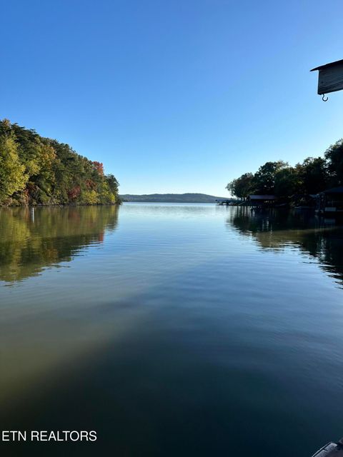 Tiny photo for 137 Lake Forest Lane, Spring City, TN 37381 (MLS # 1327787)