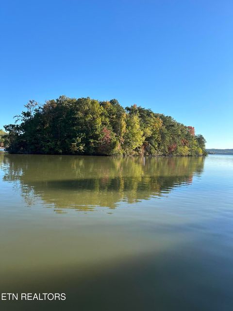 Tiny photo for 137 Lake Forest Lane, Spring City, TN 37381 (MLS # 1327787)