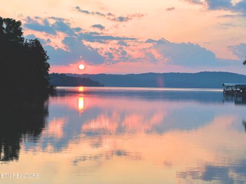 Tiny photo for 137 Lake Forest Lane, Spring City, TN 37381 (MLS # 1327787)